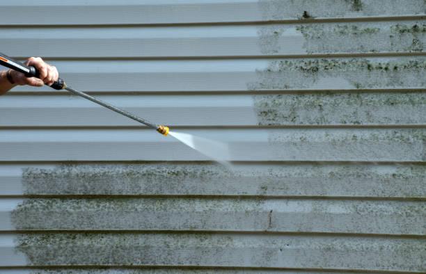 Best Mold Remediation for Specific Building Types in Nixa, MO
